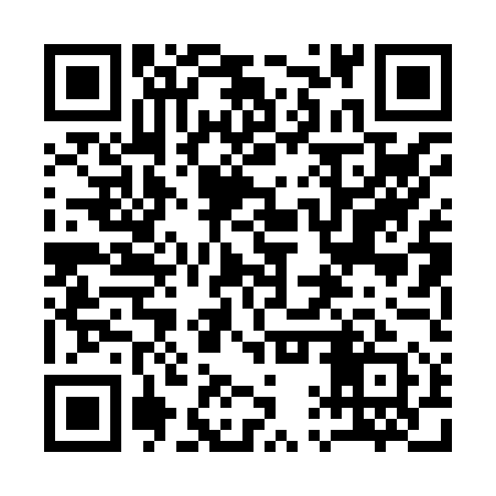 QR code for 11P851