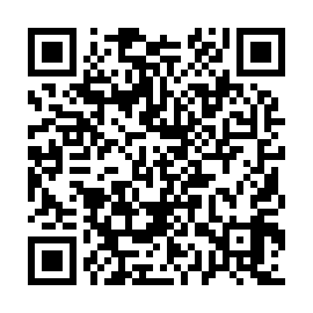 QR code for 11Q919