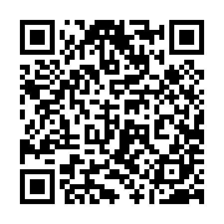QR code for 11T080