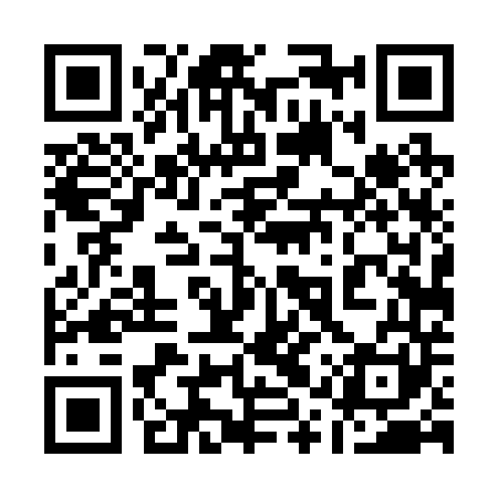 QR code for 11T241