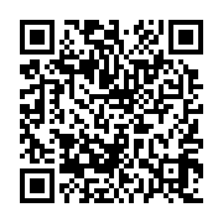 QR code for 11T319