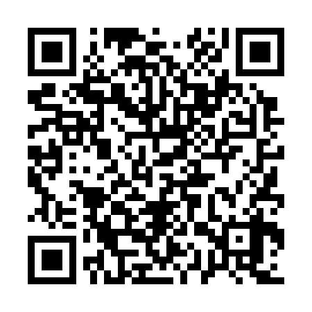 QR code for 11T338