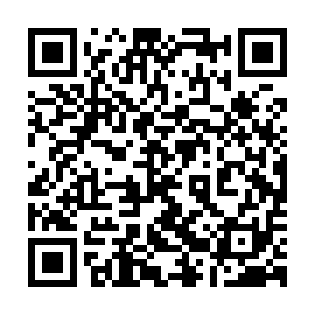 QR code for 12PI11