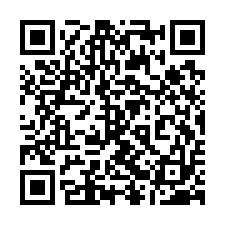 QR code for 12SG13