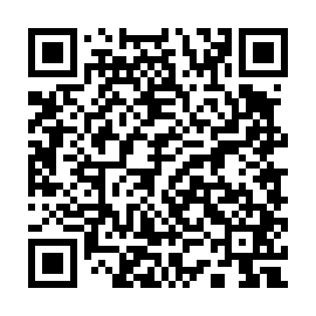 QR code for 13D441