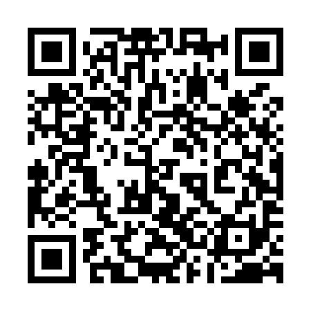 QR code for 13DM91