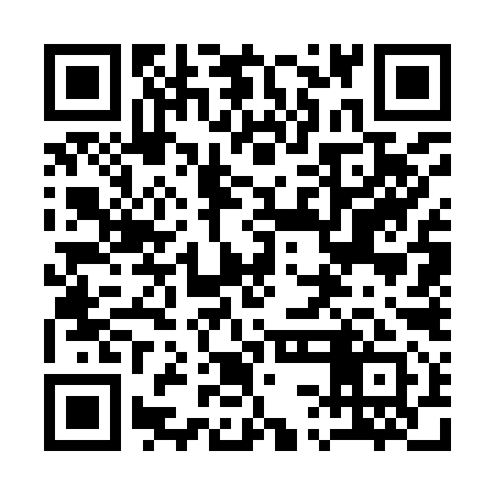 QR code for 13G991