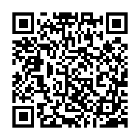QR code for 13L563