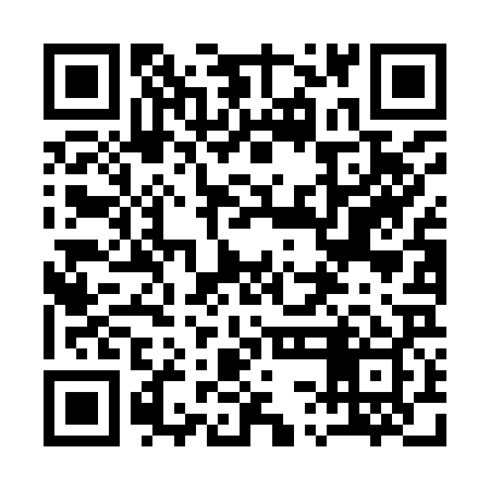QR code for 13LI29