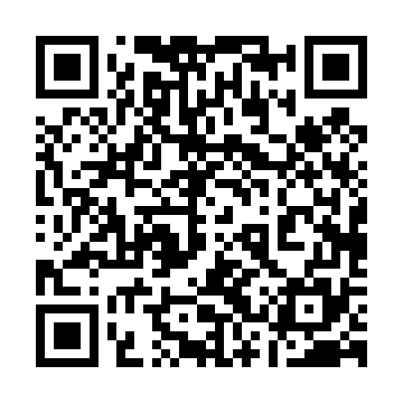 QR code for 13P475