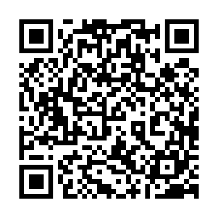 QR code for 13P565