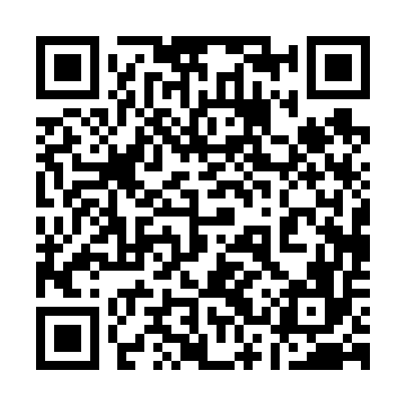 QR code for 13P656