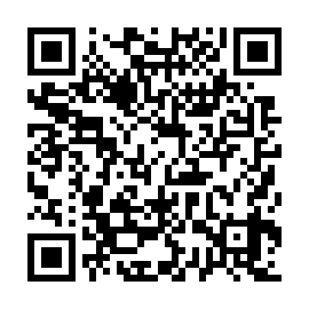 QR code for 13P739