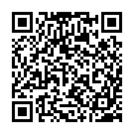 QR code for 13Q397