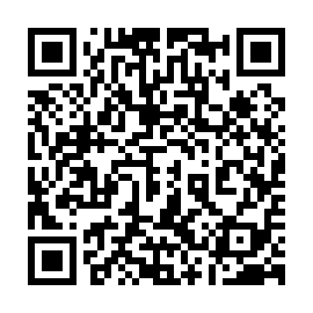 QR code for 13S119