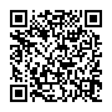 QR code for 13T315