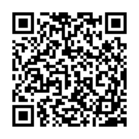 QR code for 13US63