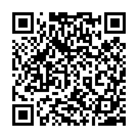 QR code for 13W461