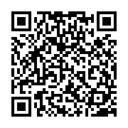 QR code for 13YO49