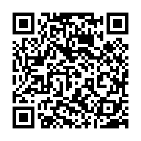 QR code for 13Z079