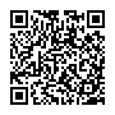 QR code for 13Z785