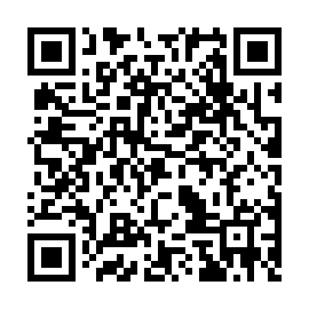 QR code for 17D305