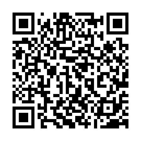 QR code for 17L311