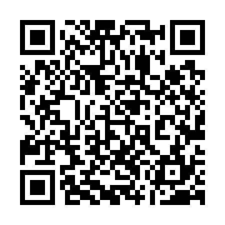 QR code for 17L734