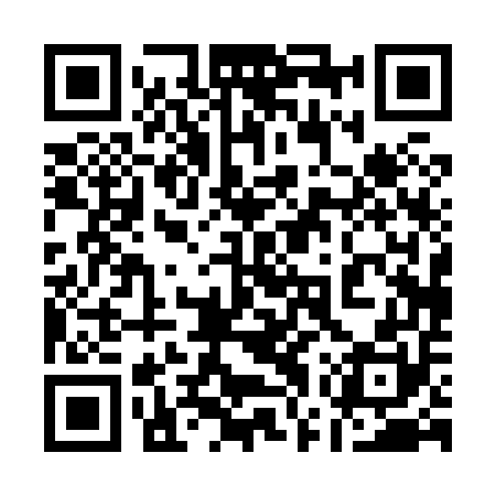 QR code for 17P850
