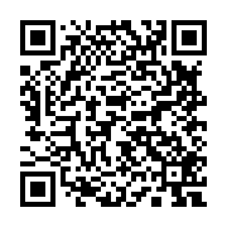 QR code for 17PH09