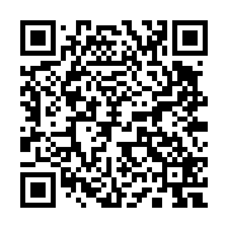 QR code for 17QT29