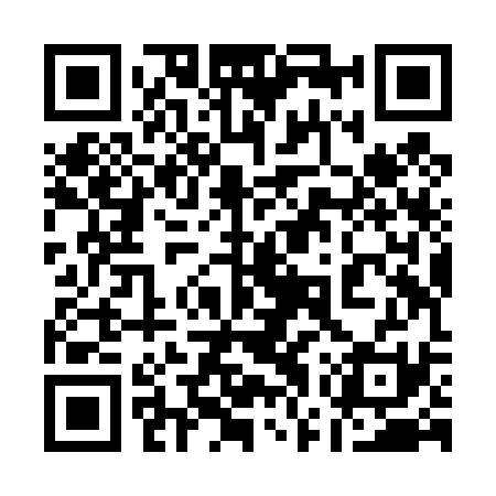 QR code for 17ZT31
