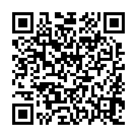 QR code for 19N290