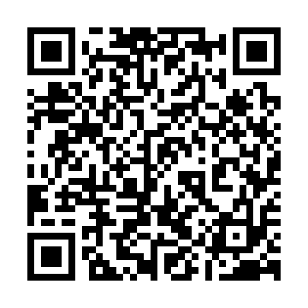 QR code for 19W313