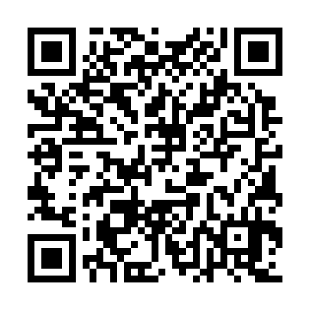 QR code for 1DE334