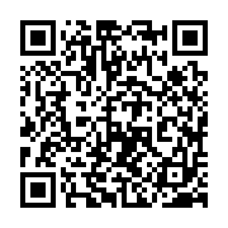 QR code for 1IZ313