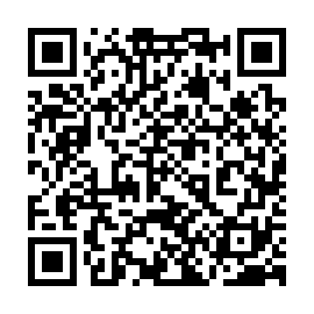 QR code for 1N6371