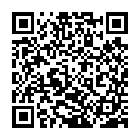 QR code for 1N9641