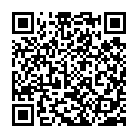QR code for 1N9698