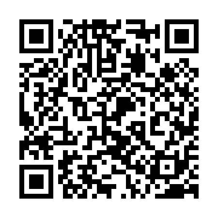 QR code for 1P6011