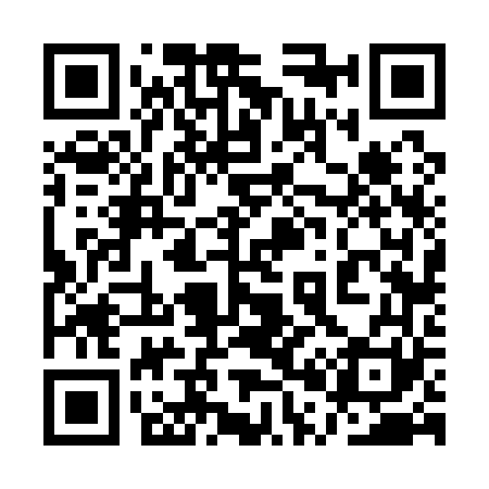 QR code for 1P6161