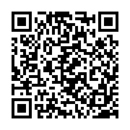 QR code for 1P6312