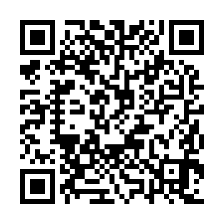QR code for 1Z2991
