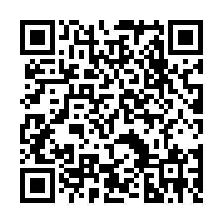 QR code for 20H541