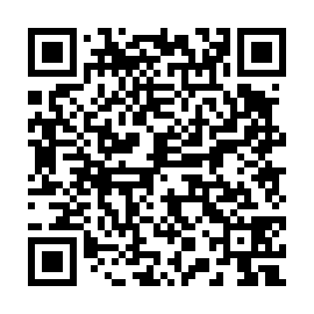 QR code for 20P438