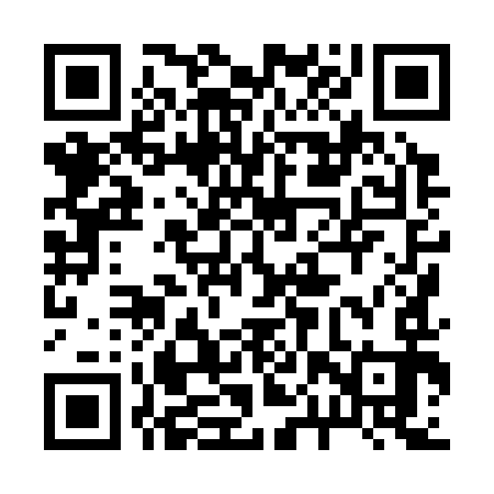 QR code for 20X393