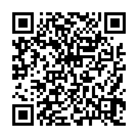QR code for 20X462
