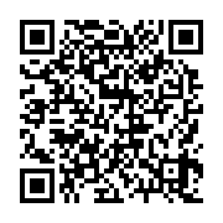 QR code for 21X339