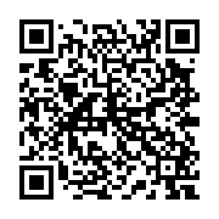 QR code for 22MP41