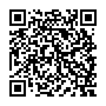 QR code for 22N382